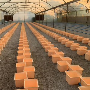 Secchio olandese all'ingrosso della fabbrica <span class=keywords><strong>Bato</strong></span> per il sistema di coltivazione idroponica - Product Image 2