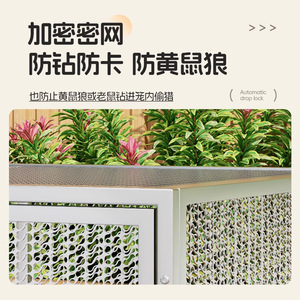 Large Outdoor Iron Wire Mesh Cage For Birds And Small Animals Four Seasons Use - Product Image 3
