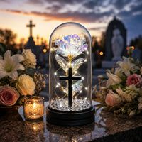 Lanterne Solaire LED Znicz en Gros pour Cimetière, Lampe Commémorative en Verre avec Rose Éternelle pour la Touche des Saints