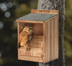 Casetta per Gufi in Legno Ecologica per Tutte le Stagioni, Gabbia per Uccelli da Esterno con Gufo Cinguettante - Product Image 1