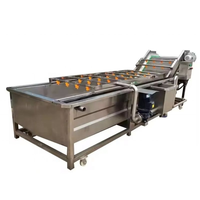 Automatische Zoete Aardappel Ui Tomaat Reinigingsmachine Citroen Pinda Mango Aardbei Fruit Groente Luchtbel Wasmachine