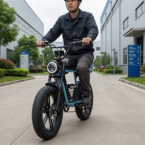 Hoogwaardige, klaar voor gebruik in de stad, elektrische fiets met hoge dekking, 48V 16Ah accu, utiliteitsfiets voor fabriekbezoekers en tourroutes. - Product Image 1