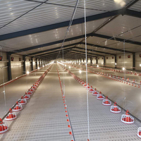 Équipement avicole pour l'élevage de poulets de chair : Mangeoires automatiques pour poulets de chair, ferme avicole entièrement automatisée