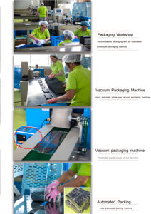 Pantofole da Hotel di Lusso all'Ingrosso in Morbido Velluto Premium <span class=keywords><strong>con</strong></span> Logo Personalizzato da Donna Unisex in Coral Fleece Monouso per Hotel e Spa - Product Image 5