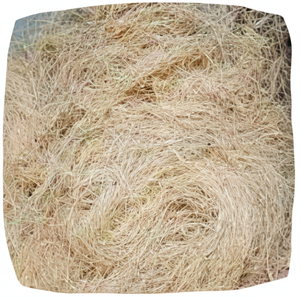 เส้นใยมะพร้าวธรรมชาติสำหรับที่นอนแปรงเสื่อปลูกเชือกคลุมด้วยหญ้าเส้นใยมะพร้าวขายส่งจากอินเดีย - Product Image 1