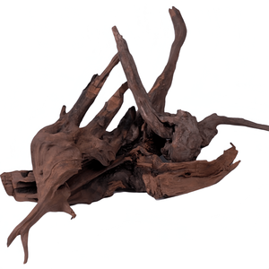 <span class=keywords><strong>Mousse</strong></span> pré-collée sur céramique pour décoration d'<span class=keywords><strong>aquarium</strong></span>, produit écologique prêt à la vente pour revendeurs, utilisation en chambre/dortoir - Product Image 1