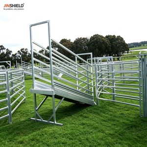 Rampe de chargement pour bétail avec passerelle d'accès pour opérateur et portillon de sécurité - Product Image 5