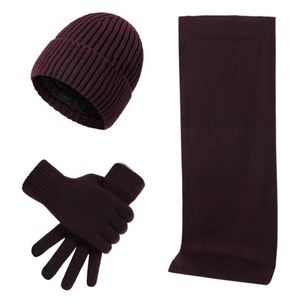 Ensemble Chaud Homme Automne Hiver : Bonnet, Écharpe et Gants en Jacquard Tricoté Épais - Product Image 6