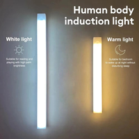 Détecteur de mouvement LED armoire lumière USB Rechargeable Induction veilleuse sans fil Portable détecteur lampe pour garde-robe couloir