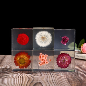 Custom Resin Cube Daisy Crystal Ornament Rainbow Chrysanthemum Sunflower Gomphrena Student Reward Small Gift