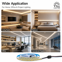 Bande LED CCT à blanc réglable DC24V, double blanc dimmable 2700K-6500K, SMD 5050, ruban LED flexible pour projets résidentiels et bureautiques