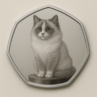 Tendance Cadeau UV Imprimé Chien Conception Argent Plaqué Pièce Photo Personnalisée Mémorial Souvenir Animal Cadeau Souvenir Pièce