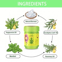Crème Rafraîchissante à l'Extrait de Menthe de Haute Qualité, Petit Pot, Anti-Insectes et Effet Éveil Cérébral, Fournitures pour la Maison, l'Extérieur et le Camping