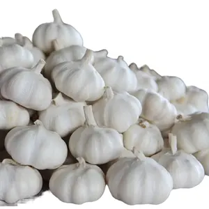 Wholesale Fresh Garlic Price With Factory Quality And Low Price Of Fresh Garlic As A Food Gl Garlic