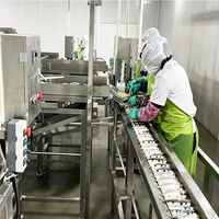 ENAK Voedselverwerkingsmachines, productielijn voor ingeblikte sardines, apparatuur voor fruit, groenten en vlees.