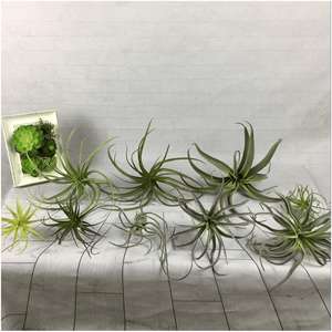 Planta Artificial Personalizada en Maceta Grande, Decoración de Pared Artificial, Artículos de Decoración para el Hogar, Bonsái Barato, Plantas Ornamentales para Dormitorio - Product Image 2