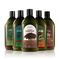 Shampooing Purifiant et Volumisant KOGEEYY 500ML aux Feuilles de Platycladus, à la Caféine, à l'Huile de Graine de Camélia, Revitalisant à la Menthe et au Romarin