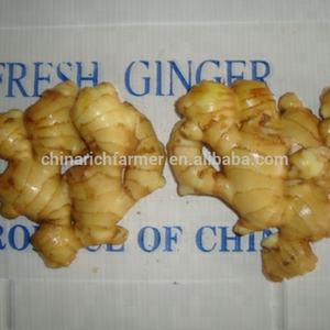 Nova Colheita Alta Qualidade Tamanhos Grandes Gengibre Fresco Chinês - Product Image 3