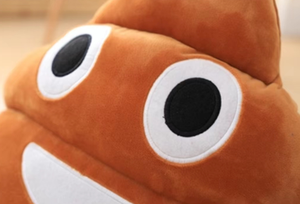 Jouets en peluche amusants et drôles, oreiller de sommeil pour bébé, cadeaux pour enfants, peluche en forme de <span class=keywords><strong>caca</strong></span> - Product Image 4