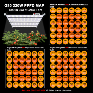 <span class=keywords><strong>Koray</strong></span> G80 320w LED élèvent la lumière LED à spectre complet élèvent la lumière pour les plantes médicinales - Product Image 5