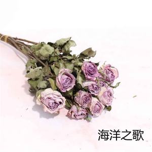 Bouquet <span class=keywords><strong>de</strong></span> Roses séchées naturelles, 100 pièces, bon marché, vraies fleurs séchées, avec tige - Product Image 4