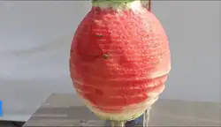 Machine à éplucher la citrouille et la <span class=keywords><strong>courge</strong></span>, automatique et verticale - Product Image 6