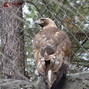 Malla protectora anticorrosión <span class=keywords><strong>para</strong></span> jaula de pájaros del zoológico, malla de alambre <span class=keywords><strong>con</strong></span> cierre de acero inoxidable 304 316, más fácil de ver animales - Product Image 4