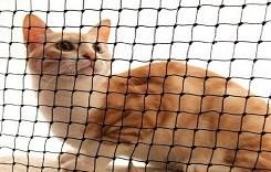 רשת בטיחות חתול ניילון עמיד עם חוט פלדה מחוזק שירות חיתוך של יצרן עבור מרפסת חתול פלסטיק מרפסת - Product Image 4