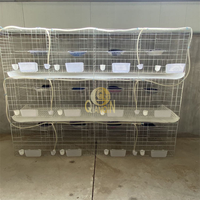 Cage d'élevage de pigeons QianQin en fil d'acier galvanisé de type H, 12/16 trous, conception multi-portes, nichoir pour la ponte, garantie de 3 ans