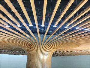 Revêtement de plafond en aluminium sur mesure pour la décoration métallique des bâtiments - Product Image 1