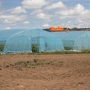 Grande <span class=keywords><strong>serre</strong></span> à arche double couche en PE pour légumes, avec une transmission lumineuse élevée à l'intérieur et une protection anti-UV contre l'ombrage - Product Image 6