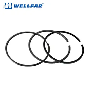 Dieselmotor Ersatzteil 20922 N0 Kolben ring 120mm für Renault Man