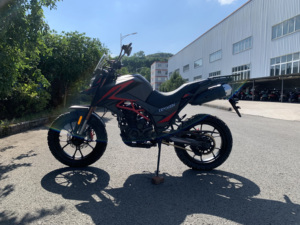 Chine Motos FUEGO <span class=keywords><strong>TEKKEN</strong></span> <span class=keywords><strong>2</strong></span> Eec Moto Pas Cher à Vendre <span class=keywords><strong>TEKKEN</strong></span> II 22110135 - Product Image 2