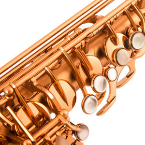 Flamingo Serisi EB Alto Saksafon Nefesli Çalgı Altın Kaplama Ayarlanabilir Mat Kahve Altın Pirinç Gövde Performans Kullanımı - Product Image 5