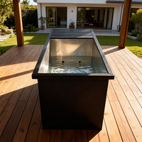 Baignoire isotherme et bain froid avec système de refroidissement puissant pour une thérapie par le froid constante