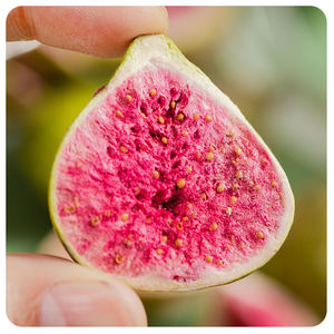 Tranches <span class=keywords><strong>de</strong></span> figues séchées FD 100% naturelles sans sucre ajouté Marque MuCui 1kg Qualité export Emballage en vrac - Product Image 3