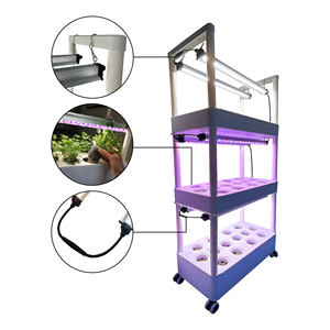 Estante de Cultivo Hidropónico Interior de 2 Niveles, Torre de Producción de Plantas sin Tierra, Estante Vertical para Cultivo de Vegetales, Hierbas y Flores en el Hogar - Product Image 1