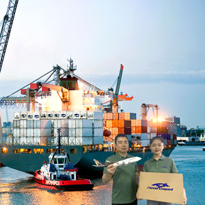 Muestra Gratuita de Transporte de Carga Puerta a Puerta, Agente de Logística de <span class=keywords><strong>Shenzhen</strong></span>, Transitario, Envío de China a Japón, Envío Fba - Product Image 1