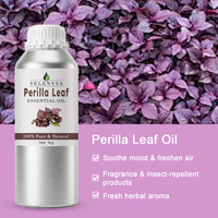 Minyak Esensial Daun Perilla 100% Alami, Distilasi Uap, Grade Kosmetik untuk Aromaterapi, Perawatan Kulit, Bahan Baku Parfum, Grosir OEM