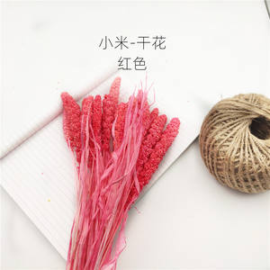 Airgris-appareil de teinture en l'air naturel de style pastoral bohémien, avec suspendre, fleurs séchées, pour décor, E07153 - Product Image 6