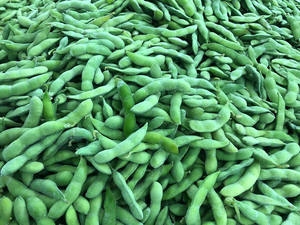 Ventes chaudes de légumes surgelés IQF, grains d'edamame, origine Chine - Product Image 2
