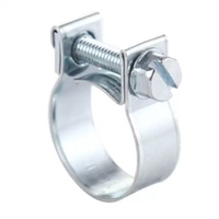Mini collier de serrage métrique réglable pour tuyaux de gaz à usage industriel en acier inoxydable galvanisé étanche