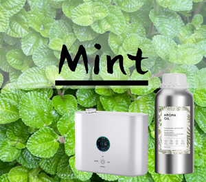 Minyak Peppermint untuk <span class=keywords><strong>Diffuser</strong></span> - Aroma Kuat dan Tahan Lama, Tidak Beracun & Aman untuk Hewan Peliharaan, Kualitas Tinggi & Nilai Terbaik, Untuk Rumah & Kantor Hotel - Product Image 1