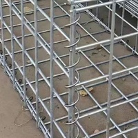 Clôture en maille de Gabion fonctionnelle solide pour les berges et la protection routière Mélange durable à long terme pour clôturer les treillis et les portes