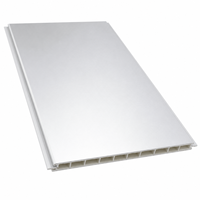 Panneau de plafond en aluminium PVC, cuisine, restaurant, résistant au feu, WYRAX