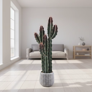 Planta Artificial de Cacto em Vaso, Simulação de Suculenta para Decoração Interna de Casa e Escritório, Ornamento de Mesa com Vaso Trançado - Product Image 3