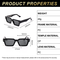 LBASHADES S2605 Lunettes de soleil tendance à monture intégrale UV400, petites lunettes carrées, verres PC, branches personnalisables avec logo, unisexe adulte (femmes et hommes)
