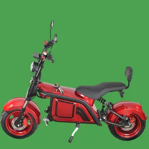 Manufacture High Speed 36V Citycoco Parts Wide Wheel Electric Scooter