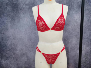 Hot Selling Women's Sexy Lingerie Thin Lace Embroidery <b>Perspective</b> Cross Back Fun Lingerie Set of Two Pieces - Product Image 5