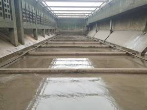 Phi kim loại chuỗi bùn scraper cho nhà máy xử lý nước thải đô thị chuỗi bùn scraper cho bể lắng hình chữ nhật - Product Image 5